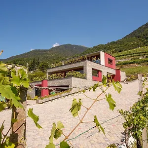 Nebbiolo Wine Castione Andevenno