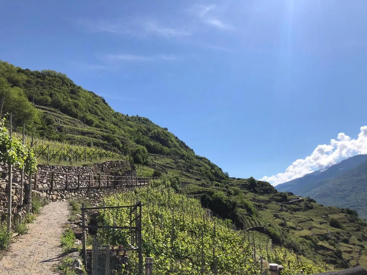 Casa Dell'Olivo Villa Castione Andevenno Italy